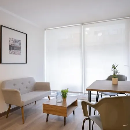 Explora Santiago Desde Este Apartamento Con Estilo Apartment